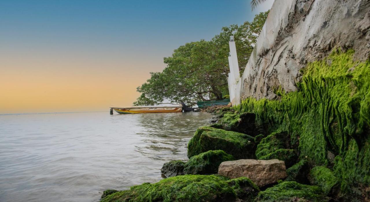 Hiru Lagoon Negombo Exteriör bild